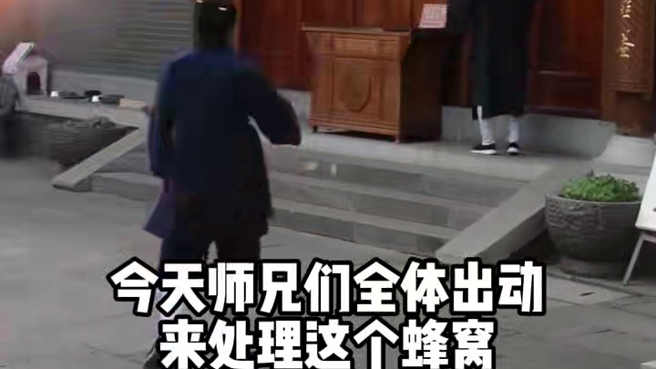 齐心协力捅蜂窝 #道系青年 #张大仙庙