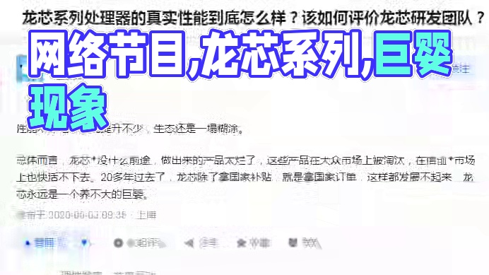 【龙芯TV】龙芯永远是一个养不大的巨婴