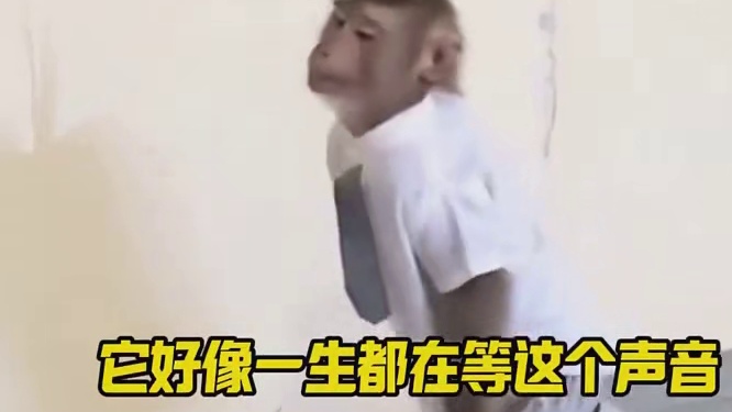 难道这就是你去食堂抢饭的速度