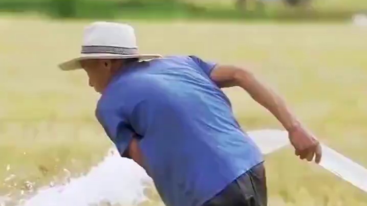 什么时候农民地都种不起了#农民  #干旱  #浇地 #广西