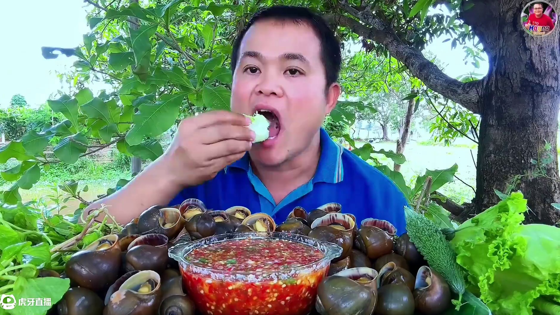 完整版爽脆苦瓜小田螺搭配泰式蘸水️ #泰国吃播视频 #泰国大叔 #泰国美食 #泰国生活 #内容启发搜