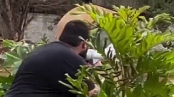 巴西小哥神级模仿警笛，吓的摩托佬一激灵#专业动作请勿模仿