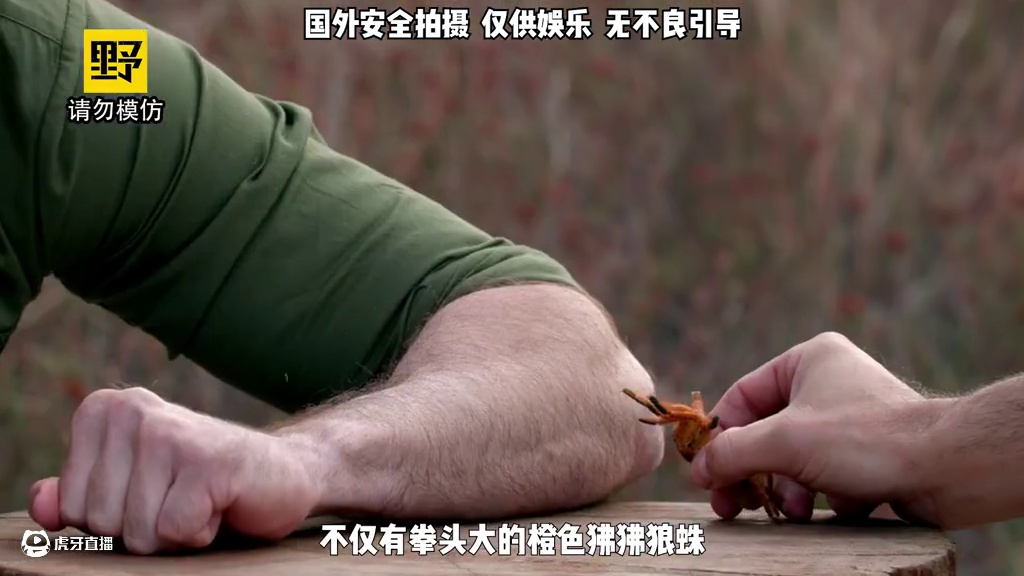 被恐怖的火海胆扎一下会有多疼？ #整活 #疼痛之王 #老外真会玩