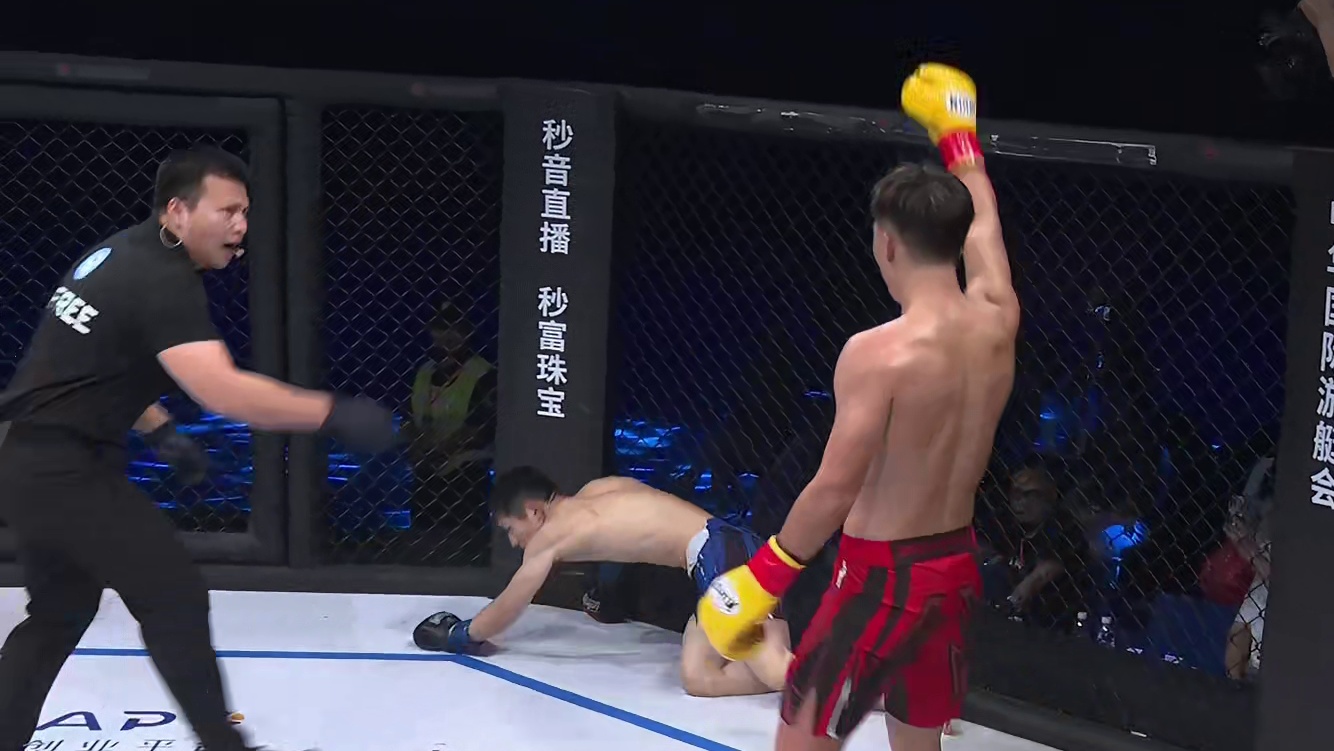 龙三格斗环球拳王巡回赛