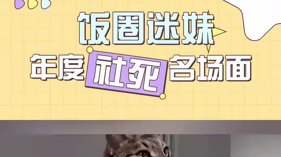 猫猫：你不配！