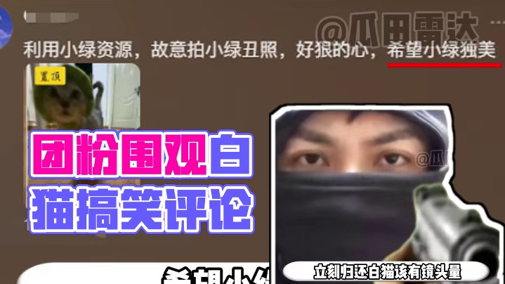 你们不要打了，真的有人在乎团粉的死活吗 #追星 #猫咪 #韩娱 #搞笑 #娱乐评论大赏