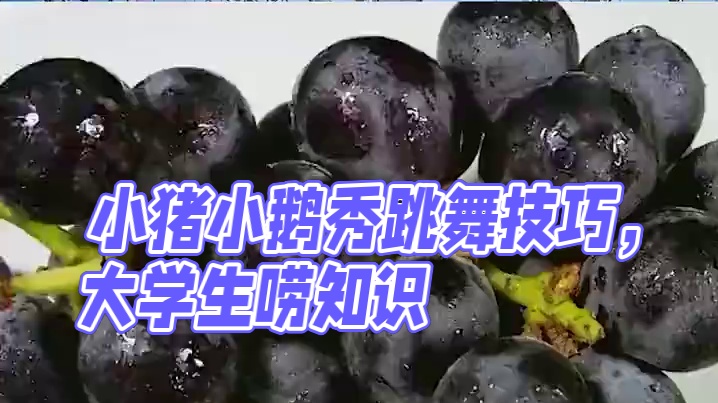 这波烫知识接住了!#小猪小鹅来跳舞#黑神话情宝太难了 #大学生出门停手就是要唠知识