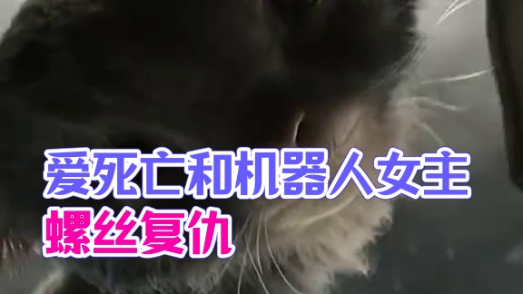 #爱死机第四季  “对她来说，爱已成归宿，成为它的猎物她甘之如饴”#蜘蛛玫瑰 #爱 #动画