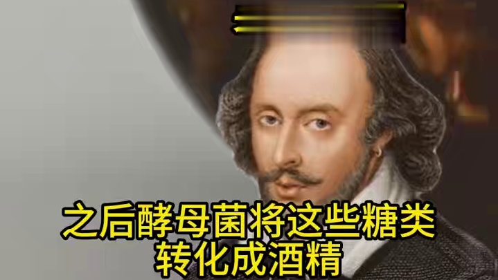 美国威士忌的选择，Sour Mash还是Sweet Mash #老毛说酒 #美国威士忌 #威士忌 #