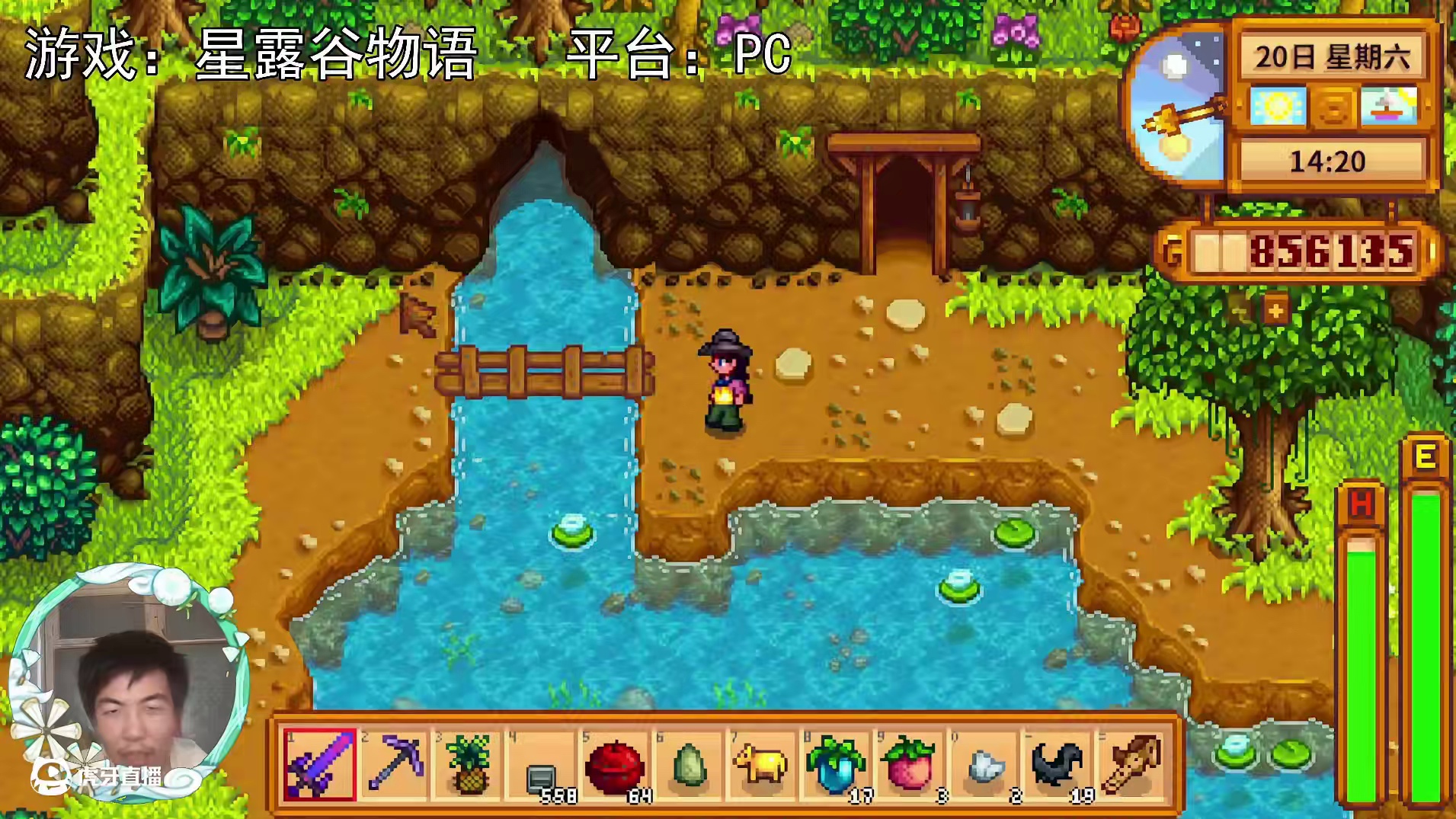 【星露谷物语】施肥器，原来这么用！