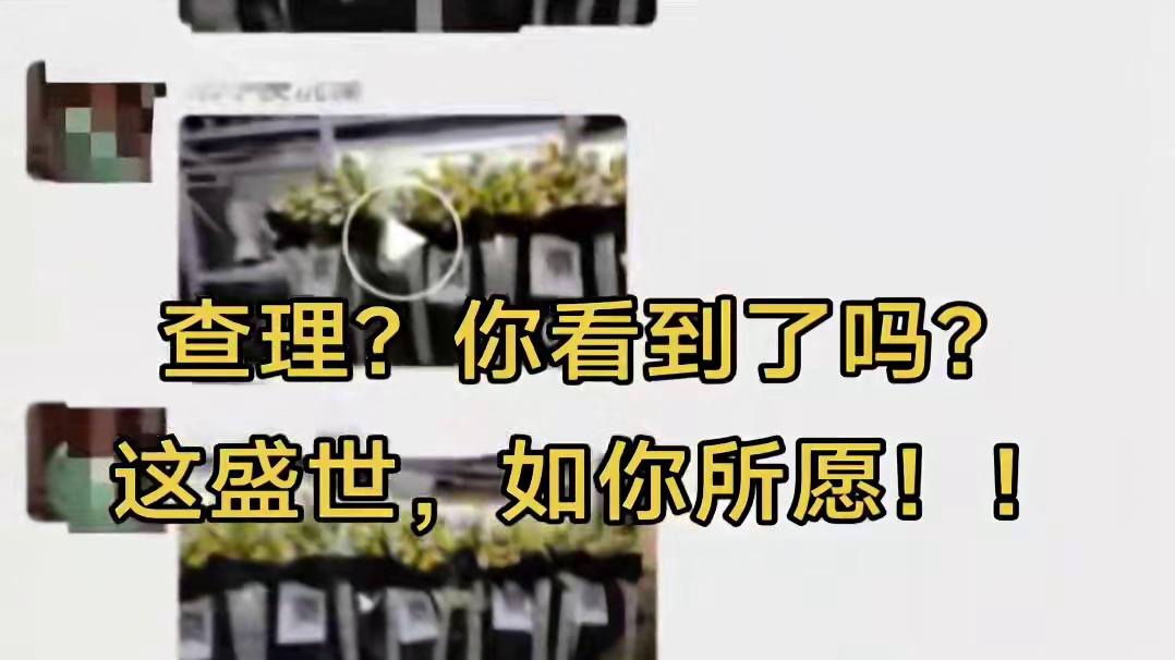 太有牌面了，大概是国内独一份了，端游十几年都没有这待遇