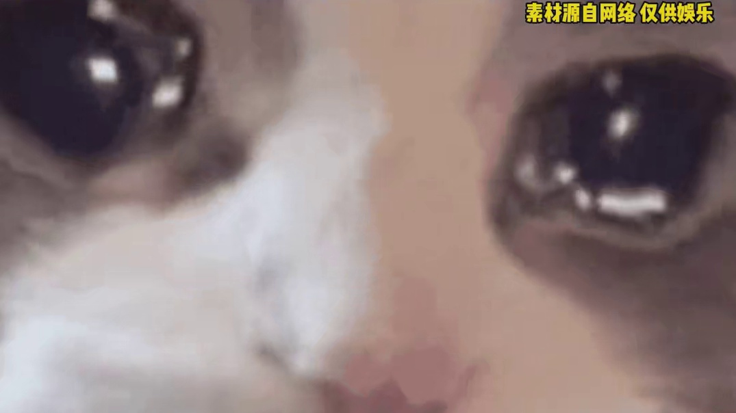 好家伙 这下是真让我直面感受到新疆到底有多大了