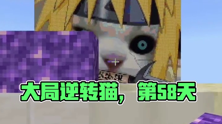 今天还原的是大局逆转猫  #喵喵喵 #我的世界 #猫emem