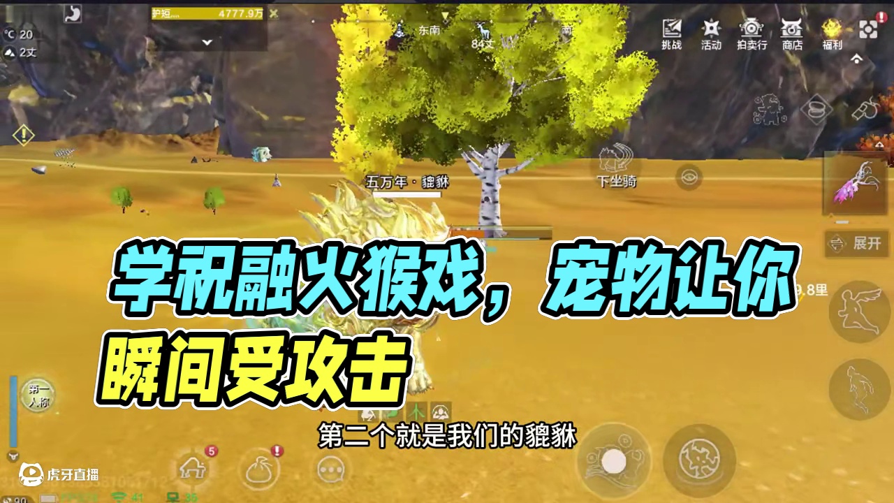 盘点可以让人物处于被攻击状态的宠物，想学祝融火猴戏玩家必看~ #妄想山海 #童北