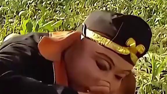 明明经费不足，为何六小龄童蟠桃啃一口就丢？了解内情才知导演的足智多谋#六小龄童 #杨洁 #西游记 #