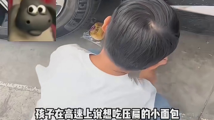 真的好羡慕这样的家庭氛围啊