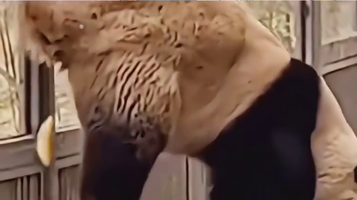 国宝不愧是国宝，拉个屎能年入百万