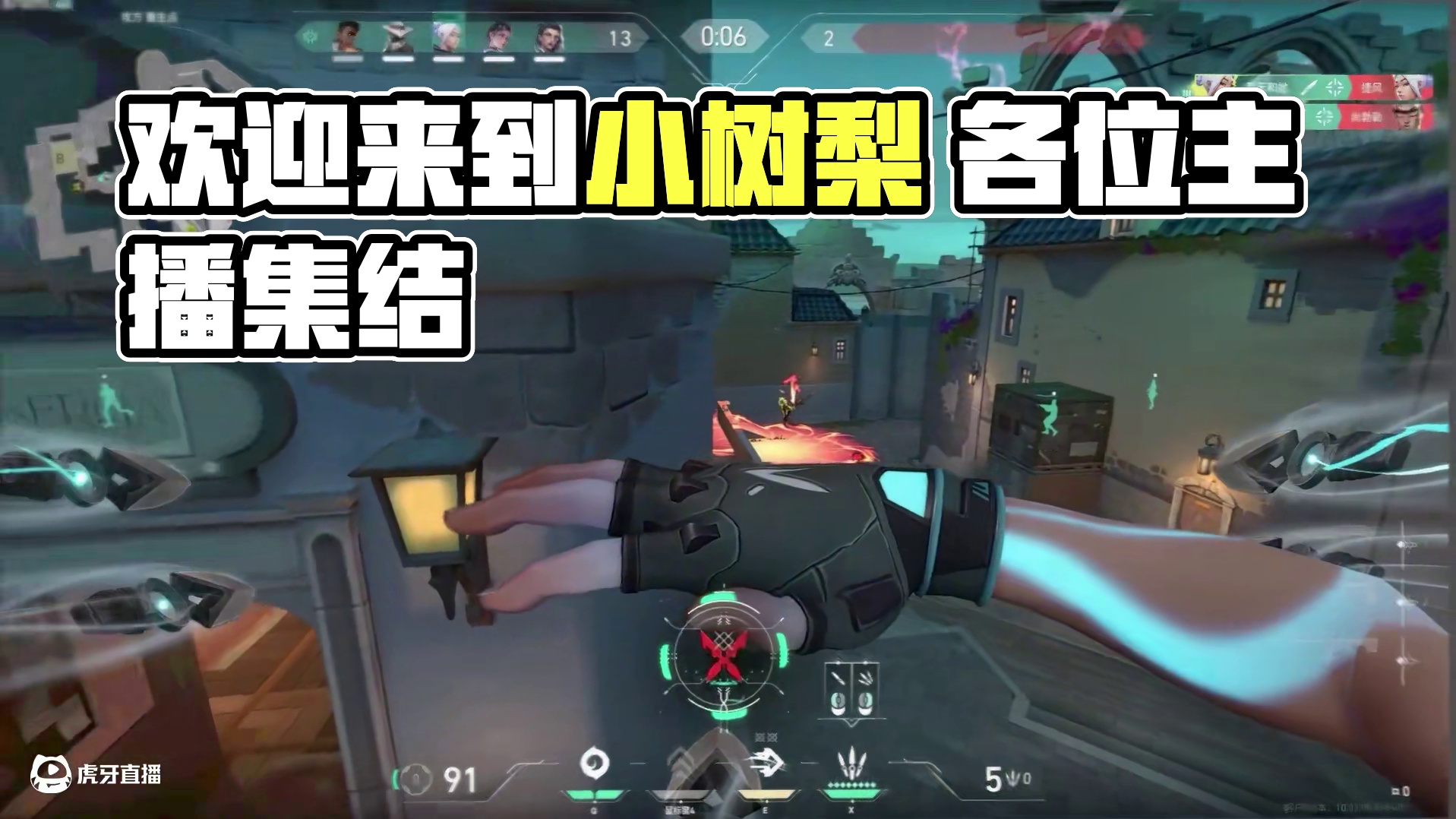 欢迎来到小树梨 