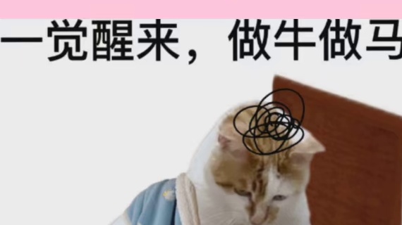 这一刻，中英文融合了