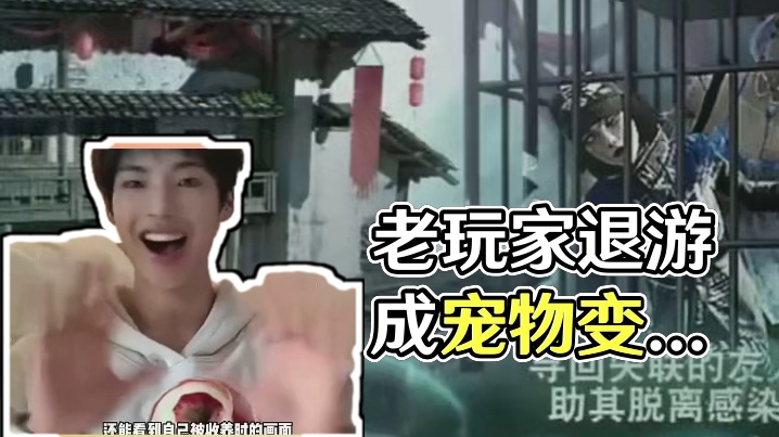 老玩家退游变宠物