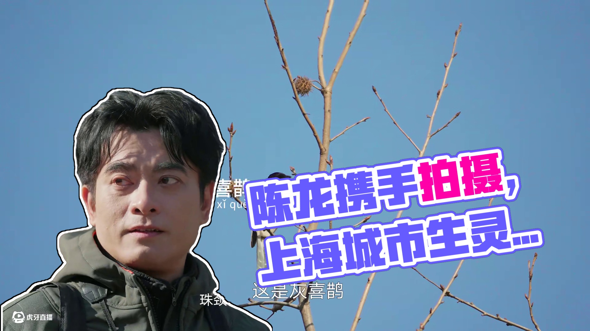 在上海，有哪些生灵与我们生活相伴？#纪录片我的城市邻居  携手演员#陈龙 ，将于5 月 20 日晚2