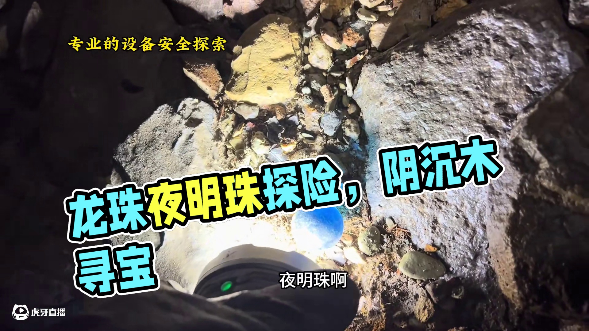 让我们一起年年有好运 龙珠你见过吗？发着绿色的光芒又像夜明珠。天坑之下几百米又像降龙木又像阴沉木大片