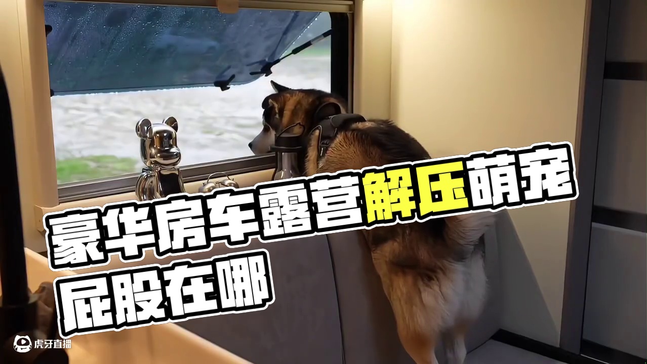 豪华房车（三）不喜欢搭帐篷的朋友们可以看一下房车，开到哪里，哪里就是家~#露营 #助眠 #解压 #萌