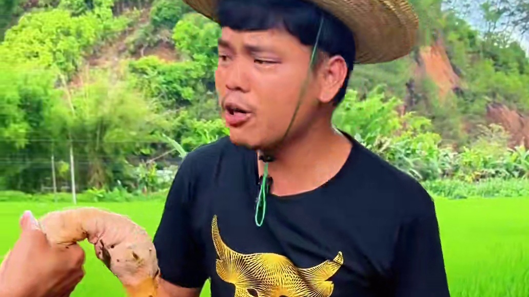 粤菜天花板级操作碌鸭焖出琥珀色，鸭肉嫩到能嗦骨头！ #农村美味 #大山里的美味 #农村生活 #农村美