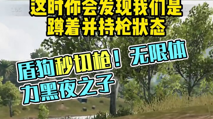 盾构又能一秒切枪！还能开盾趴下蹲下！体力无限制 #三角洲行动 #猛攻三角洲黑夜之子新赛季 #101俱