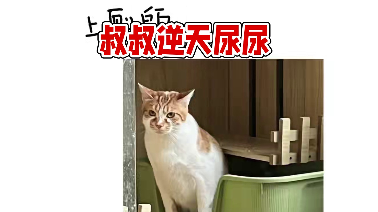 叔叔别尿了#搞笑 #吐槽 #纯粹的嘴臭极致的享受