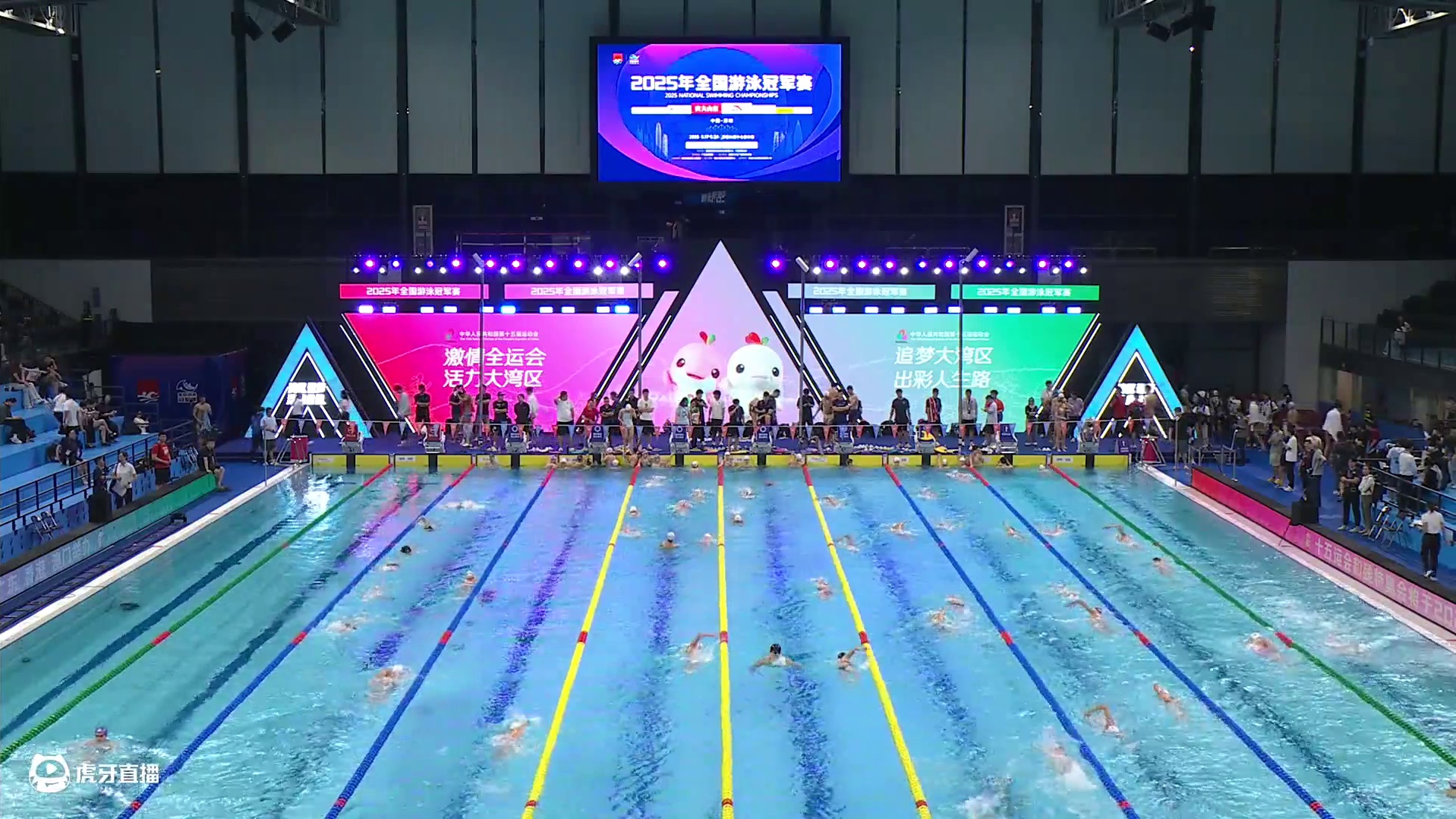 5月20日晚上场 全国游泳冠军赛