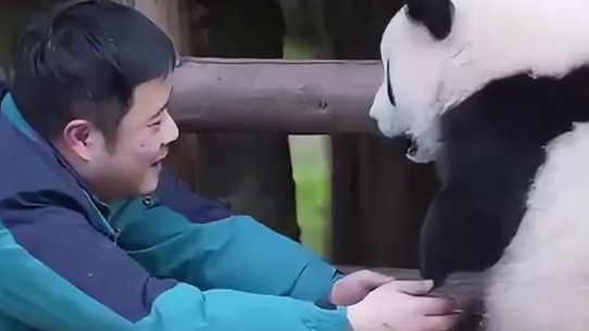 奇三妹和外公之间的爱恨情仇斗智斗勇