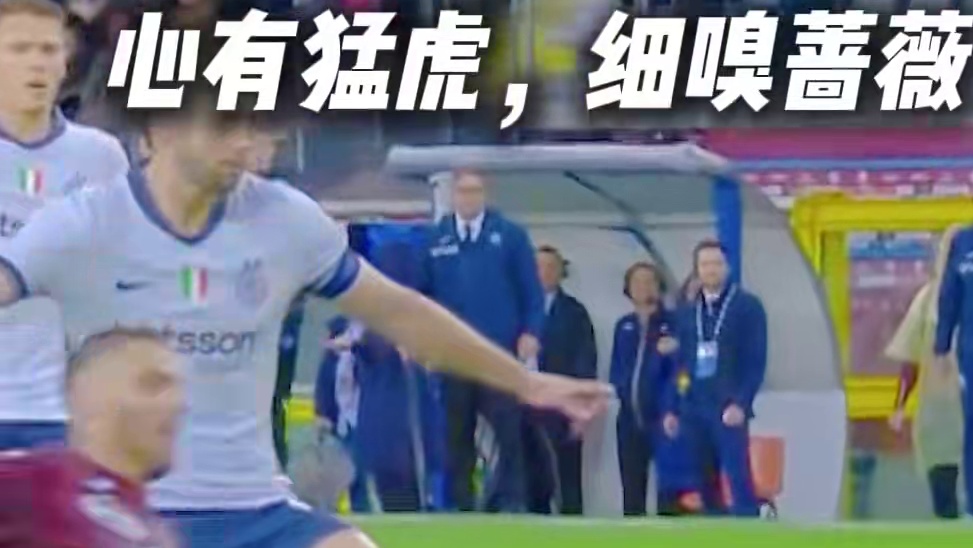 铲得就是一个精细且优雅