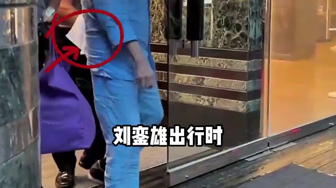 为何刘銮雄对保镖身体“避之不及”，个个配白毛巾？背后真相曝光令人动容
#刘銮雄 #甘比 #李嘉欣 #