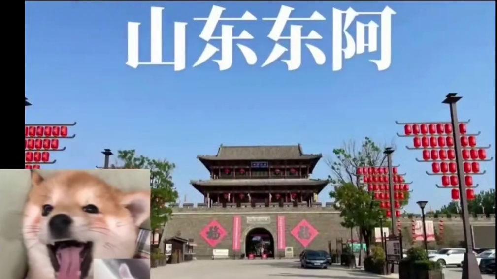 博康三国志战略版百将排行，第51位，程昱 #三国志战略版 #三国志战略版攻略 #三战创作者计划