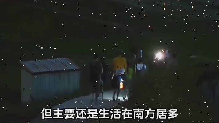大家都有多久没见过萤火虫了