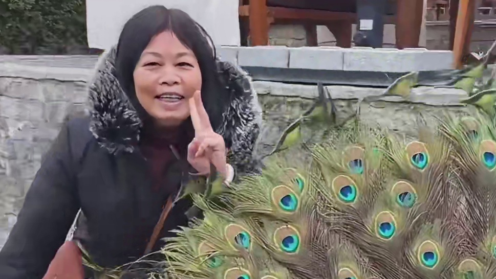 此刻陪伴才是最长情的告白含金量还在上升