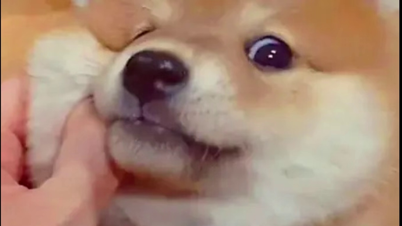 马尾综合征饮食上的护理