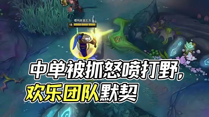 中单的日常：被抓崩后怒喷打野