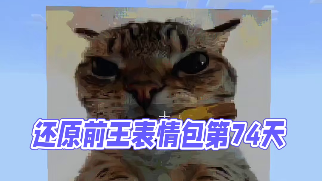 今天我们还原的是社会猫  #minectaft #游戏最强攻略 #我的世界