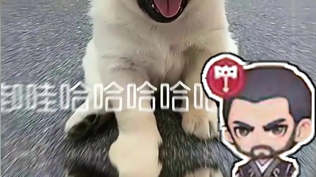 快来加入速推流狂潮 #口袋斗罗大陆