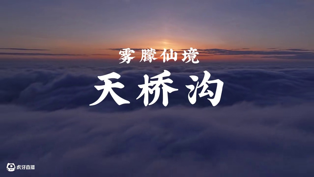 雾朦仙境、天桥沟 云海翻涌如仙境，漫步天桥触云端！第一视角冲进云海！玻璃天桥横跨万丈深渊，莲花峰顶俯
