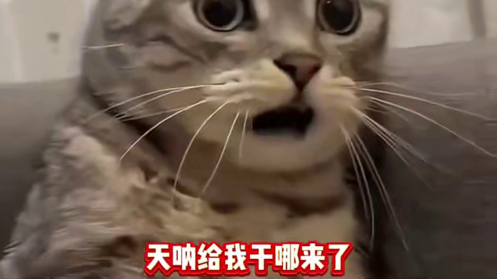 备战苏黎世，剑指荣耀世界冠军#全职高手#叶修#729声工厂#苏黎世#电竞