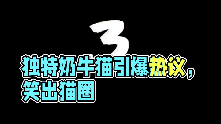 什么猫丑到可以起号#猫咪 #谁家小猫长的这么别致 #搞笑 #奶牛猫