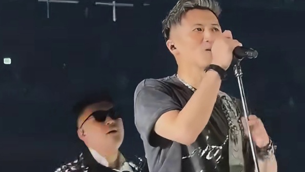 王菲再次去了谢霆锋演唱会