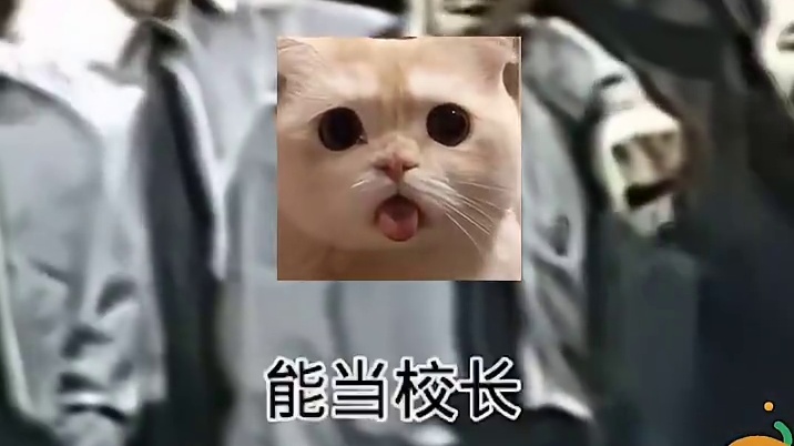 感觉这个顺口溜好像小时候抱过我！！