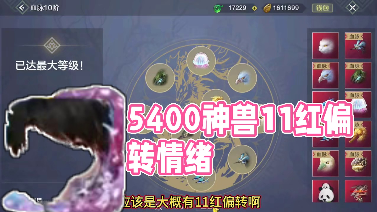 5400风神 11红偏转1神兽1神侍1情绪 兵魂词条齐全 