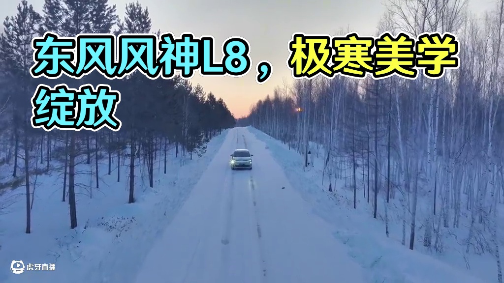 冰封不减气场，风雪不掩锋芒。#东风风神L8  以冰为刃，见证极寒之下美学绽放#东风风神  #智能科技