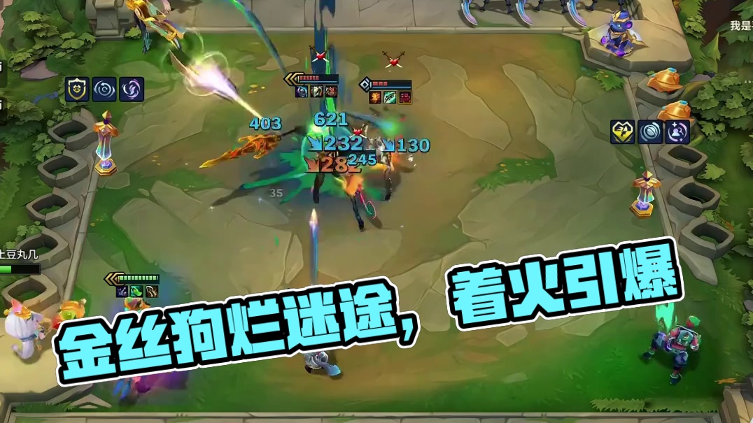 金丝狗还在活跃