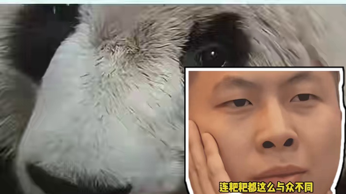 熊猫的粑粑居然可以造纸